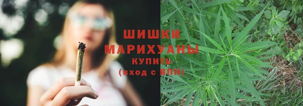 ГАЛЛЮЦИНОГЕННЫЕ ГРИБЫ Волоколамск