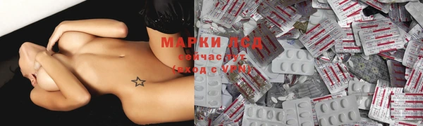 бошки Бородино