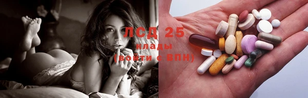 бошки Бородино