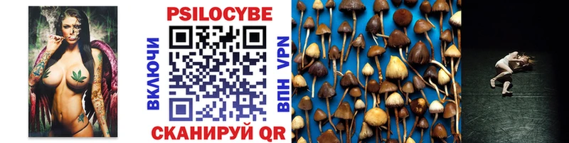 магазин    Новоржев  Галлюциногенные грибы мухоморы 